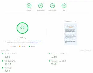 99 Leistungspunkte bei PageSpeed für unsere mobile Webseitenversion